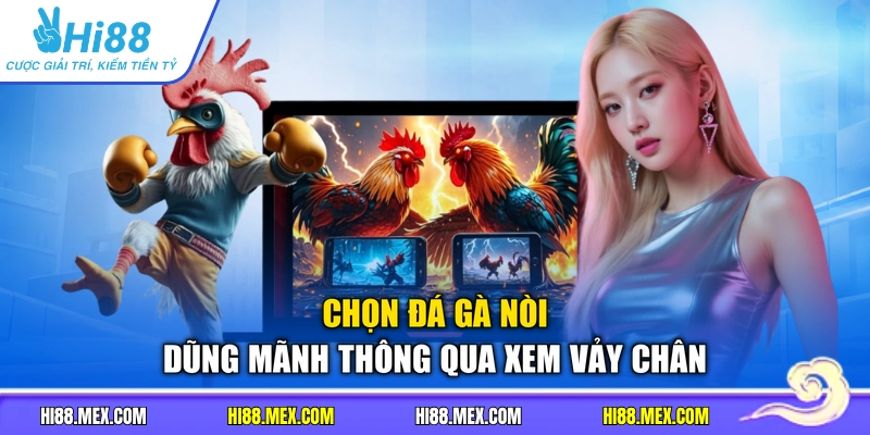 Chọn đá gà nòi dũng mãnh thông qua xem vảy chân