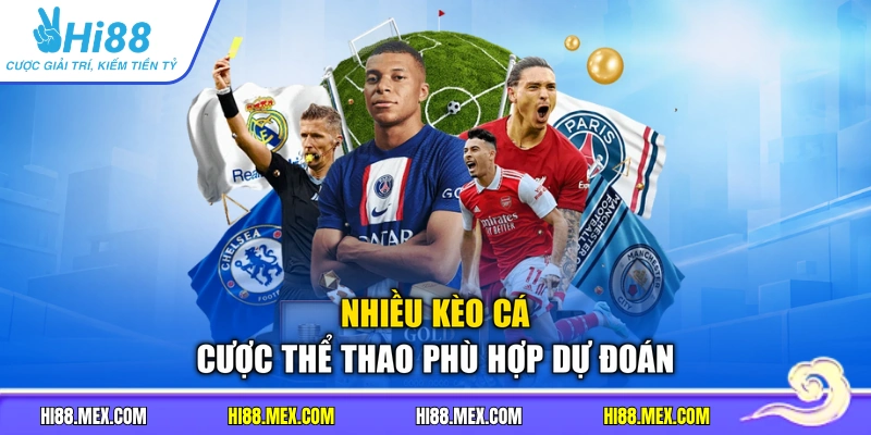Nhiều kèo cá cược thể thao phù hợp dự đoán