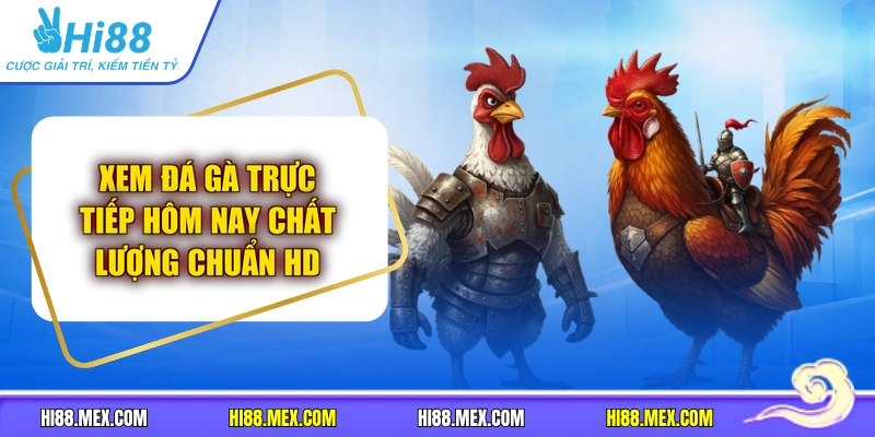 Xem Đá Gà Trực Tiếp Hôm Nay Chất Lượng Chuẩn HD